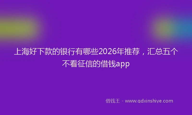 上海好下款的银行有哪些2026年推荐，汇总五个不看征信的借钱app