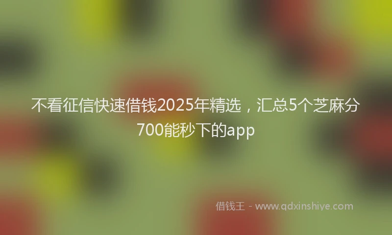 不看征信快速借钱2025年精选,汇总5个芝麻分700能秒下的app