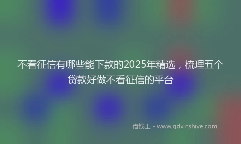 不看征信有哪些能下款的2025年精选，梳理五个贷款好做不看征信的平台