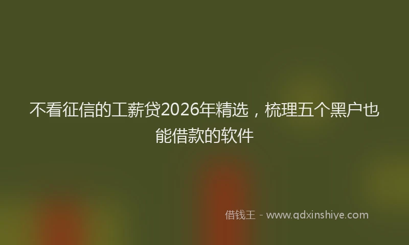 不看征信的工薪贷2026年精选，梳理五个黑户也能借款的软件