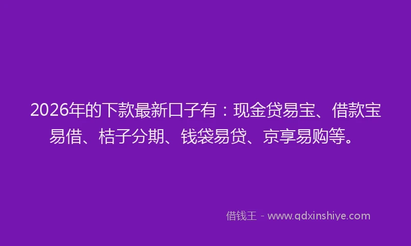2026年的下款最新口子有：现金贷易宝、借款宝易借、桔子分期、钱袋易贷、京享易购等。