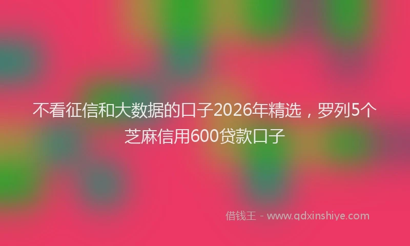 不看征信和大数据的口子2026年精选，罗列5个芝麻信用600贷款口子