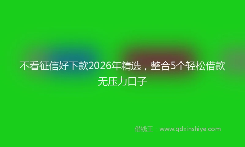 不看征信好下款2026年精选，整合5个轻松借款无压力口子