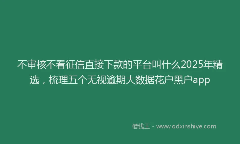 不审核不看征信直接下款的平台叫什么2025年精选，梳理五个无视逾期大数据花户黑户app