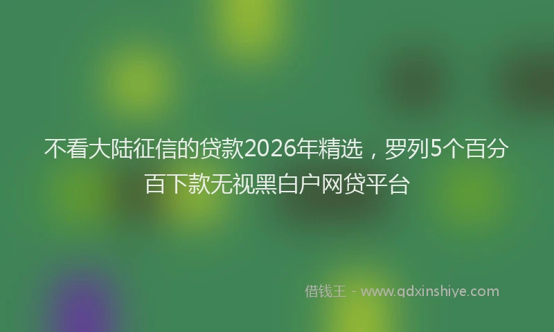 不看大陆征信的贷款2026年精选，罗列5个百分百下款无视黑白户网贷平台