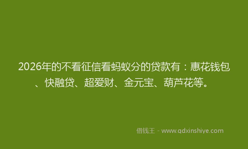 2026年的不看征信看蚂蚁分的贷款有：惠花钱包、快融贷、超爱财、金元宝、葫芦花等。