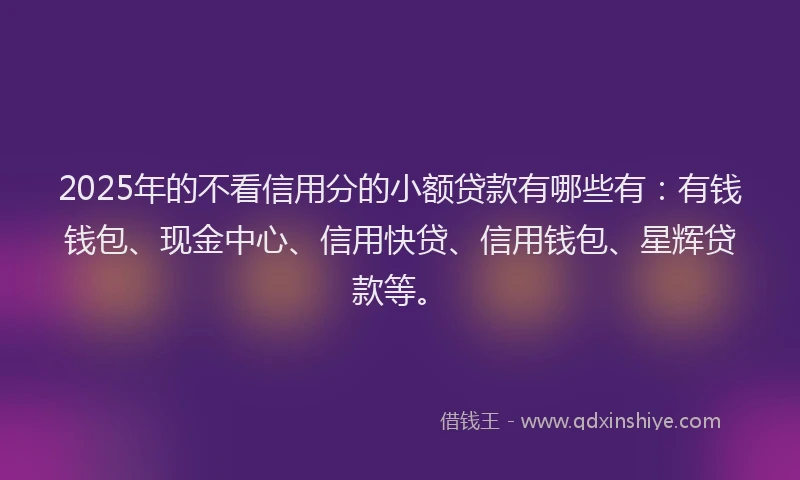 2025年的不看信用分的小额贷款有哪些有：有钱钱包、现金中心、信用快贷、信用钱包、星辉贷款等。