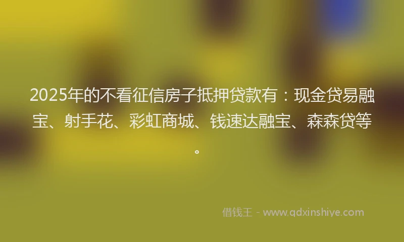 2025年的不看征信房子抵押贷款有：现金贷易融宝、射手花、彩虹商城、钱速达融宝、森森贷等。
