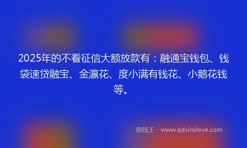 2025年的不看征信大额放款有：融通宝钱包、钱袋速贷融宝、金瀛花、度小满有钱花、小鹅花钱等。