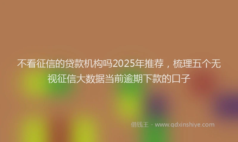 不看征信的贷款机构吗2025年推荐，梳理五个无视征信大数据当前逾期下款的口子