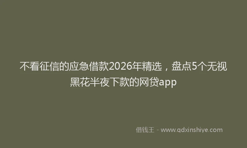 不看征信的应急借款2026年精选，盘点5个无视黑花半夜下款的网贷app
