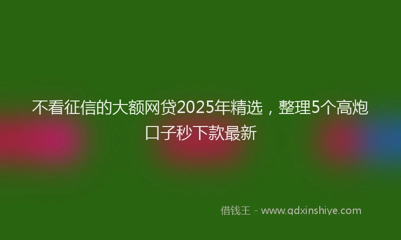 不看征信的大额网贷2025年精选,整理5个高炮口子秒下款最新