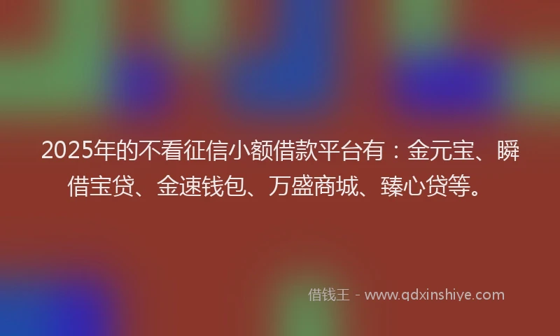 2025年的不看征信小额借款平台有:金元宝、瞬借宝贷、金速钱包、万盛商城、臻心贷等。
