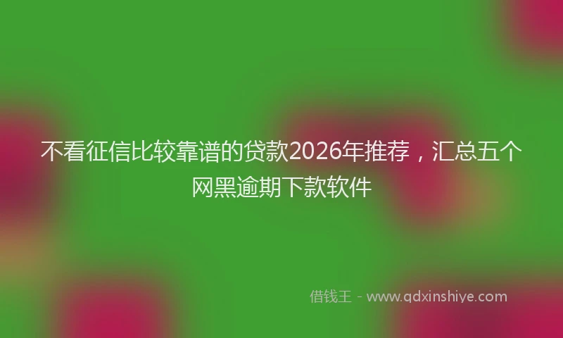 不看征信比较靠谱的贷款2026年推荐，汇总五个网黑逾期下款软件