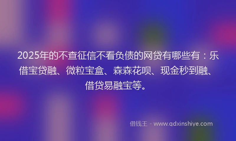 2025年的不查征信不看负债的网贷有哪些有：乐借宝贷融、微粒宝盒、森森花呗、现金秒到融、借贷易融宝等。