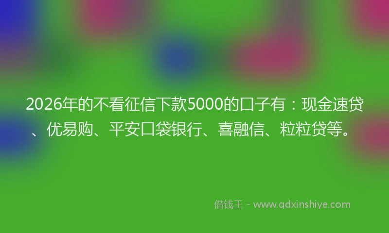 2026年的不看征信下款5000的口子有：现金速贷、优易购、平安口袋银行、喜融信、粒粒贷等。