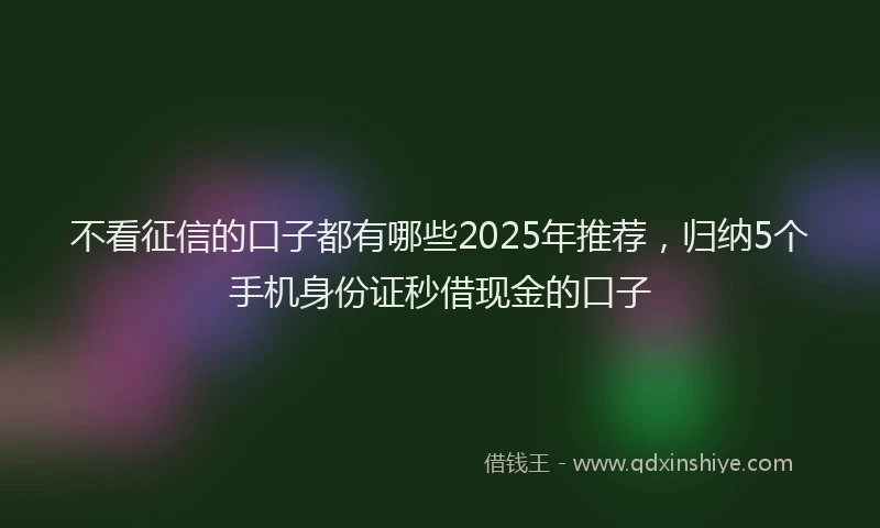 不看征信的口子都有哪些2025年推荐，归纳5个手机身份证秒借现金的口子