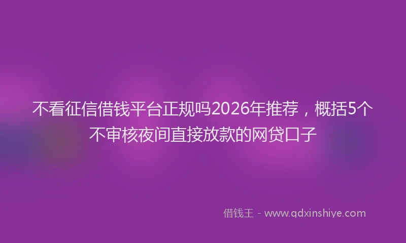 不看征信借钱平台正规吗2026年推荐，概括5个不审核夜间直接放款的网贷口子