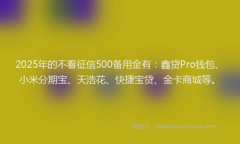 2025年的不看征信500备用金有：鑫贷Pro钱包、小米分期宝、天浩花、快捷宝贷、金卡商城等。