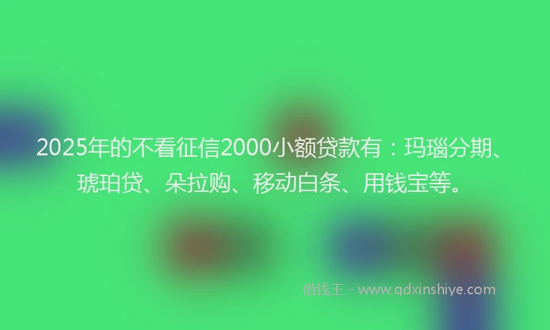 2025年的不看征信2000小额贷款有：玛瑙分期、琥珀贷、朵拉购、移动白条、用钱宝等。