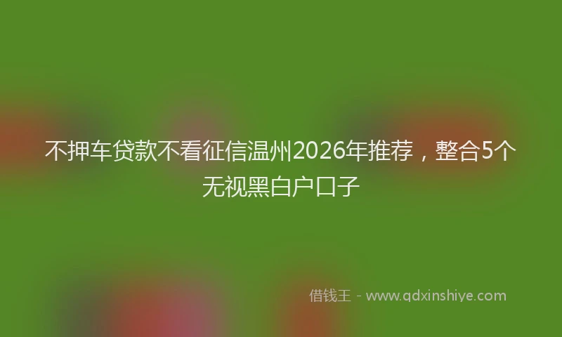 不押车贷款不看征信温州2026年推荐，整合5个无视黑白户口子