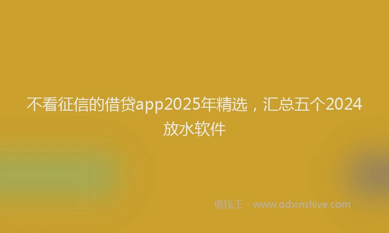 不看征信的借贷app2025年精选,汇总五个2024放水软件