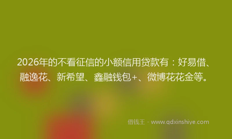 2026年的不看征信的小额信用贷款有：好易借、融逸花、新希望、鑫融钱包+、微博花花金等。