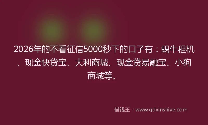 2026年的不看征信5000秒下的口子有：蜗牛租机、现金快贷宝、大利商城、现金贷易融宝、小狗商城等。
