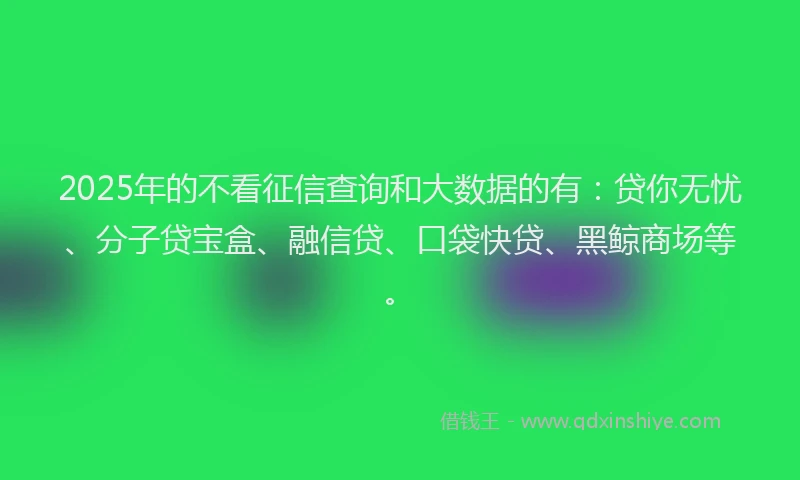 2025年的不看征信查询和大数据的有：贷你无忧、分子贷宝盒、融信贷、口袋快贷、黑鲸商场等。