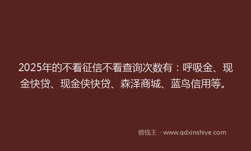 2025年的不看征信不看查询次数有：呼吸金、现金快贷、现金侠快贷、森泽商城、蓝鸟信用等。