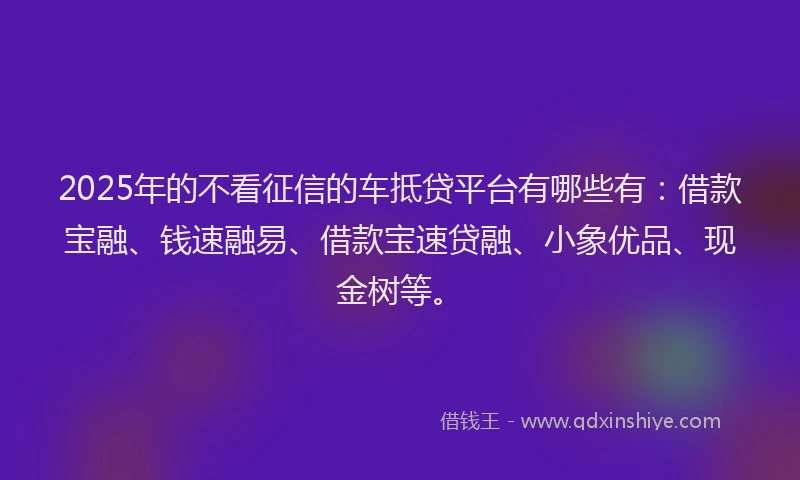 2025年的不看征信的车抵贷平台有哪些有：借款宝融、钱速融易、借款宝速贷融、小象优品、现金树等。