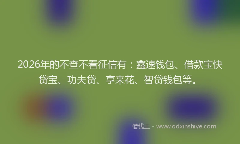 2026年的不查不看征信有：鑫速钱包、借款宝快贷宝、功夫贷、享来花、智贷钱包等。