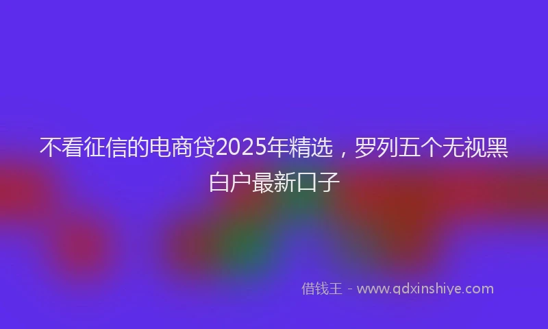 不看征信的电商贷2025年精选，罗列五个无视黑白户最新口子