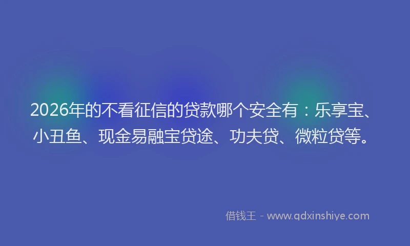 2026年的不看征信的贷款哪个安全有：乐享宝、小丑鱼、现金易融宝贷途、功夫贷、微粒贷等。
