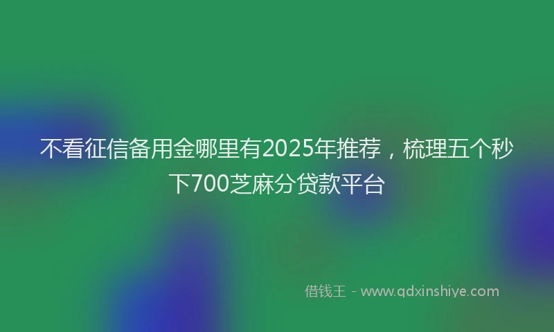 不看征信备用金哪里有2025年推荐，梳理五个秒下700芝麻分贷款平台