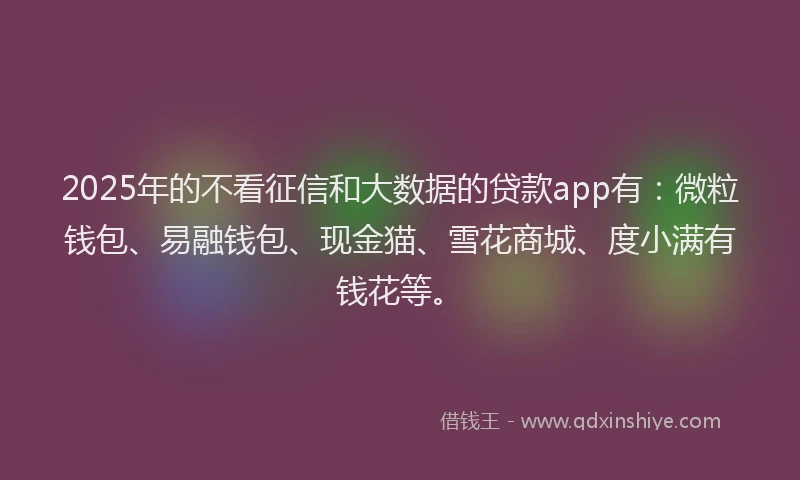 2025年的不看征信和大数据的贷款app有：微粒钱包、易融钱包、现金猫、雪花商城、度小满有钱花等。