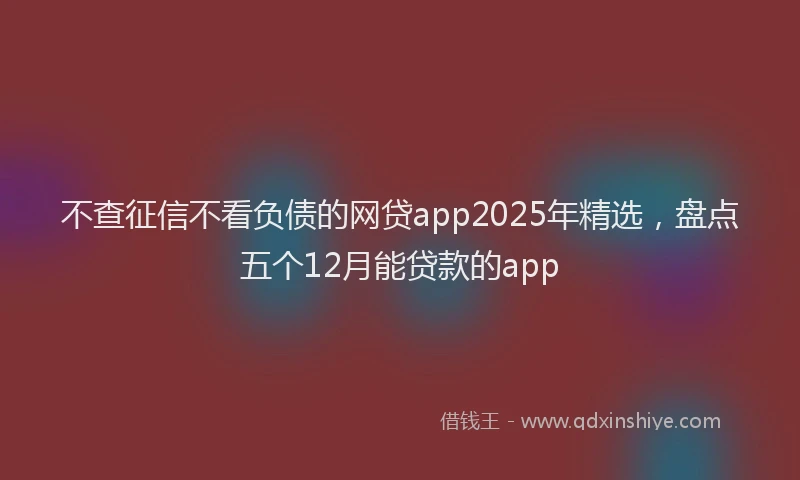 不查征信不看负债的网贷app2025年精选，盘点五个12月能贷款的app