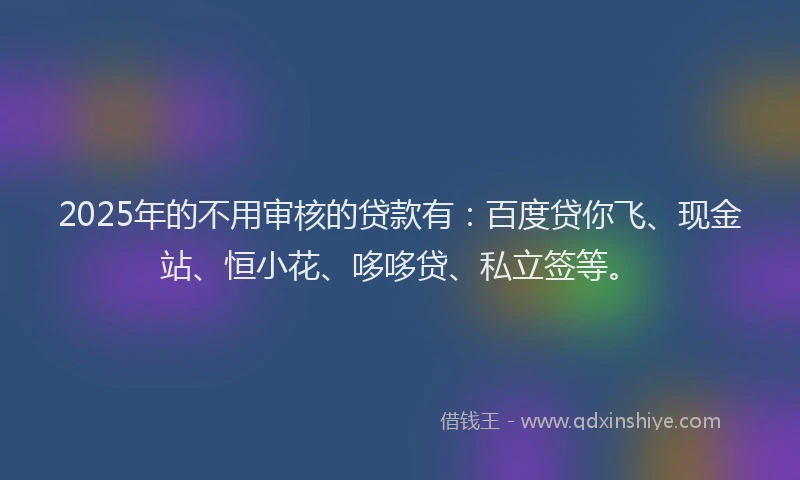 2025年的不用审核的贷款有：百度贷你飞、现金站、恒小花、哆哆贷、私立签等。