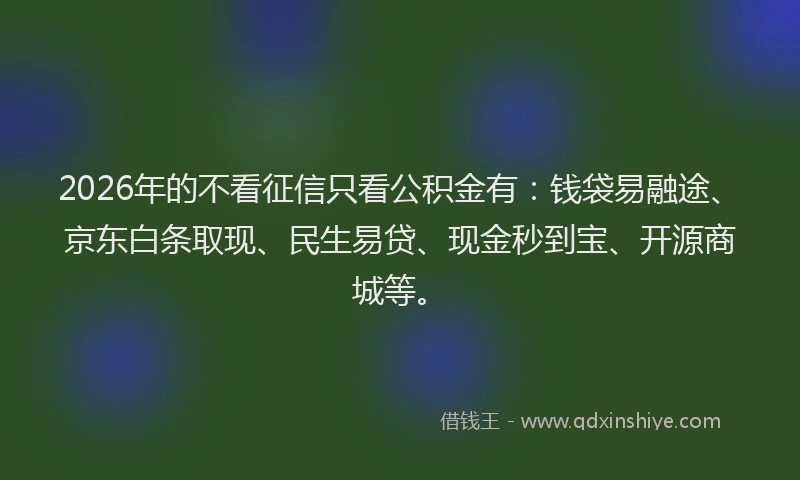 2026年的不看征信只看公积金有：钱袋易融途、京东白条取现、民生易贷、现金秒到宝、开源商城等。