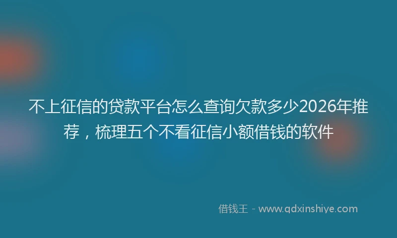 不上征信的贷款平台怎么查询欠款多少2026年推荐，梳理五个不看征信小额借钱的软件
