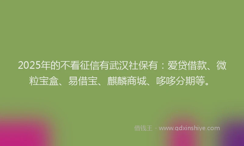 2025年的不看征信有武汉社保有:爱贷借款、微粒宝盒、易借宝、麒麟商城、哆哆分期等。