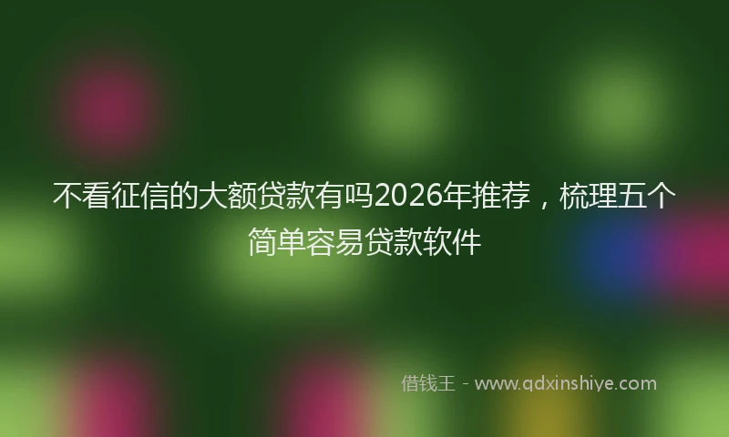 不看征信的大额贷款有吗2026年推荐，梳理五个简单容易贷款软件