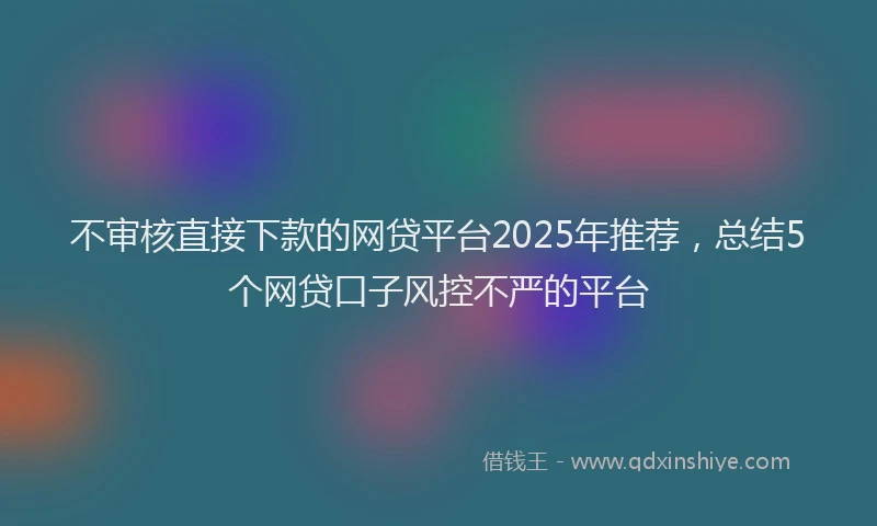 不审核直接下款的网贷平台2025年推荐，总结5个网贷口子风控不严的平台