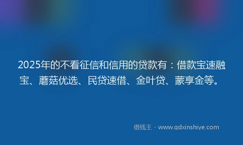 2025年的不看征信和信用的贷款有：借款宝速融宝、蘑菇优选、民贷速借、金叶贷、蒙享金等。