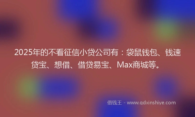 2025年的不看征信小贷公司有：袋鼠钱包、钱速贷宝、想借、借贷易宝、Max商城等。