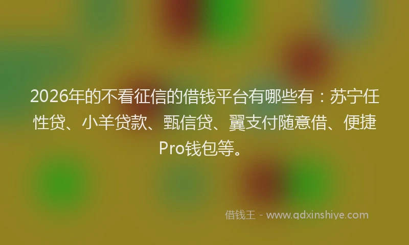 2026年的不看征信的借钱平台有哪些有：苏宁任性贷、小羊贷款、甄信贷、翼支付随意借、便捷Pro钱包等。