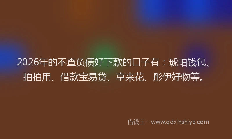 2026年的不查负债好下款的口子有：琥珀钱包、拍拍用、借款宝易贷、享来花、彤伊好物等。
