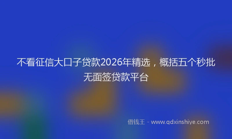 不看征信大口子贷款2026年精选，概括五个秒批无面签贷款平台