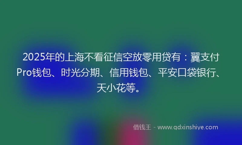 2025年的上海不看征信空放零用贷有：翼支付Pro钱包、时光分期、信用钱包、平安口袋银行、天小花等。