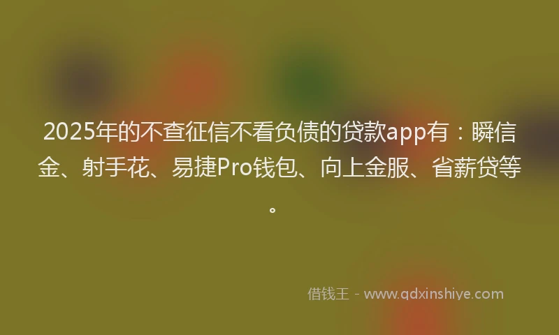 2025年的不查征信不看负债的贷款app有：瞬信金、射手花、易捷Pro钱包、向上金服、省薪贷等。